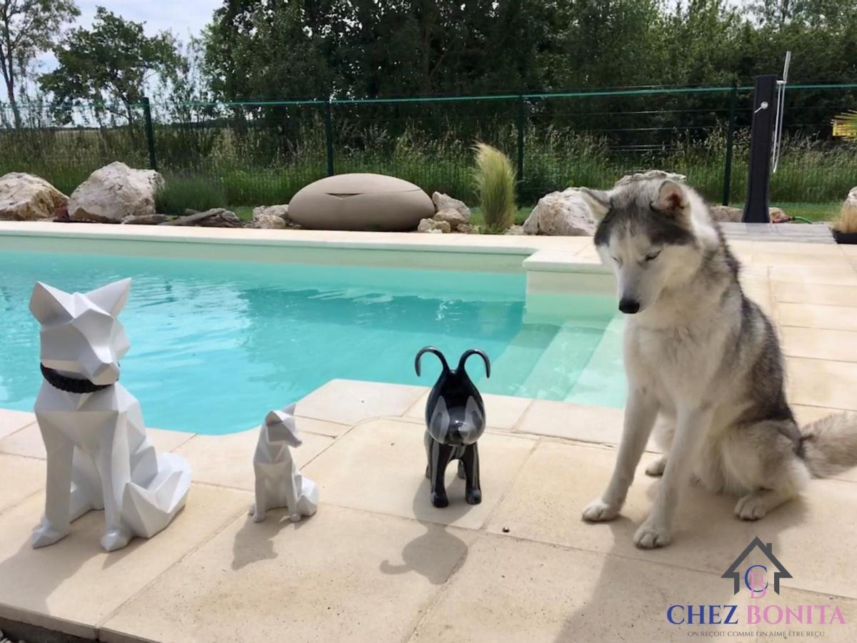 Chez Bonita Hotel Chouzy-sur-Cisse Esterno foto