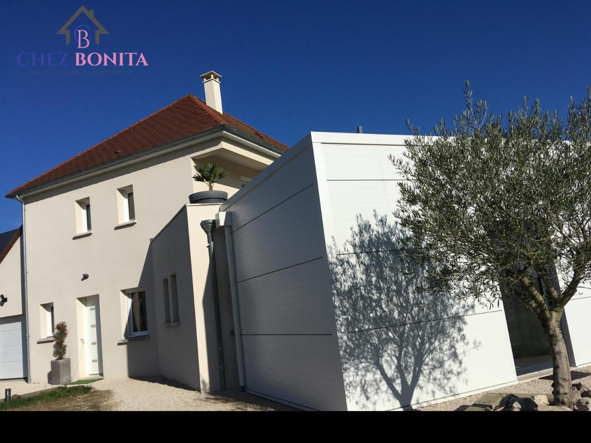 Chez Bonita Hotel Chouzy-sur-Cisse Esterno foto